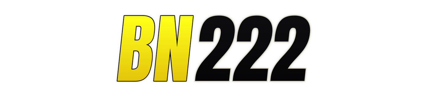 bn222 লোগো